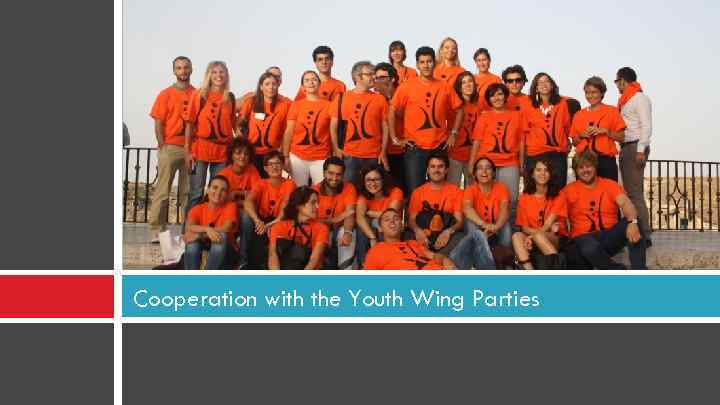 Cooperation with the Youth Wing Parties 