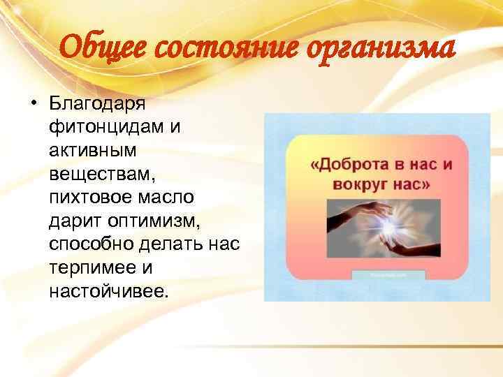 Общее состояние организма • Благодаря фитонцидам и активным веществам, пихтовое масло дарит оптимизм, способно