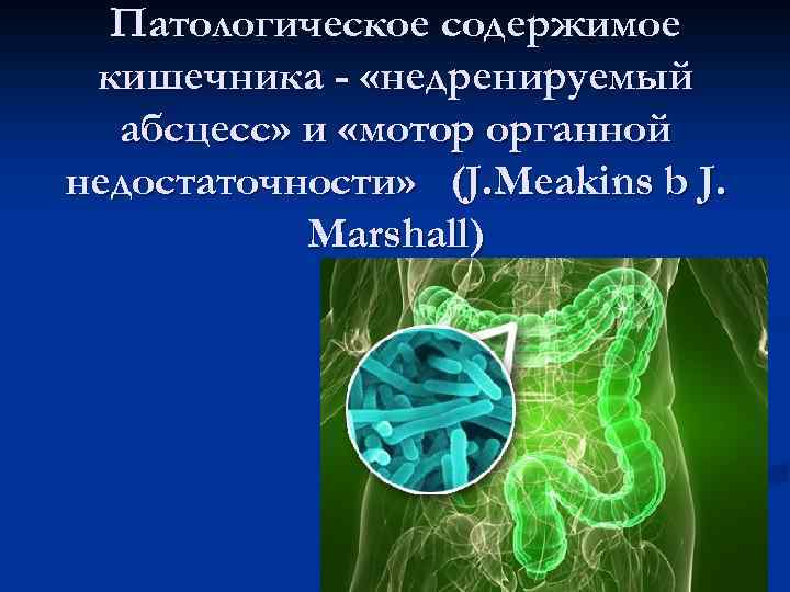 Патологическое содержимое кишечника - «недренируемый абсцесс» и «мотор органной недостаточности» (J. Meakins b J.