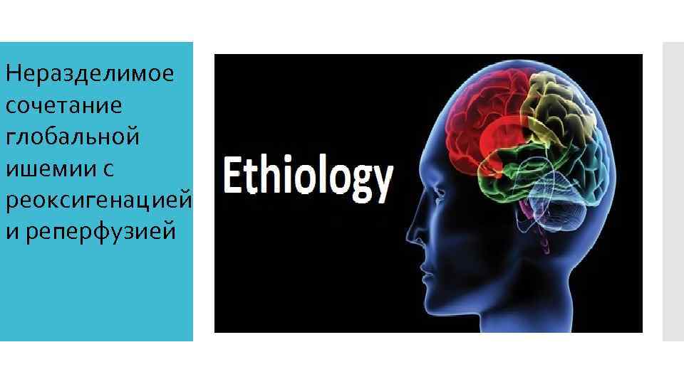 Неразделимое сочетание глобальной ишемии с реоксигенацией и реперфузией 