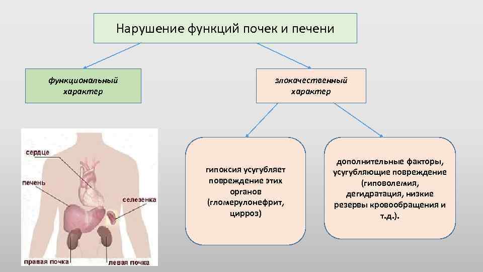 Нарушение функций почек и печени функциональный характер злокачественный характер гипоксия усугубляет повреждение этих органов