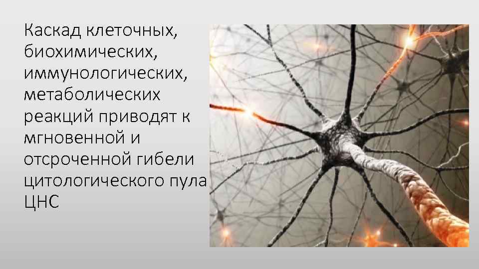 Каскад клеточных, биохимических, иммунологических, метаболических реакций приводят к мгновенной и отсроченной гибели цитологического пула