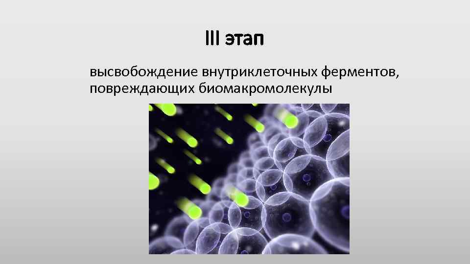 Этиология картинки для презентации