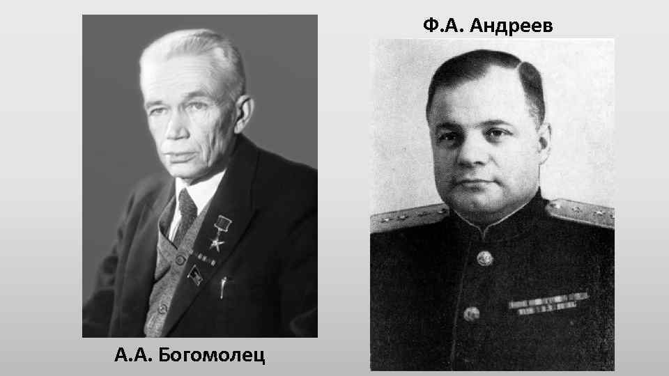 Ф. А. Андреев А. А. Богомолец 