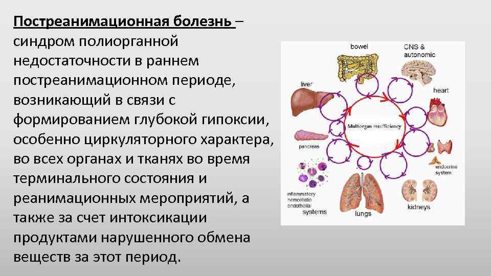 Постреанимационная болезнь – синдром полиорганной недостаточности в раннем постреанимационном периоде, возникающий в связи с