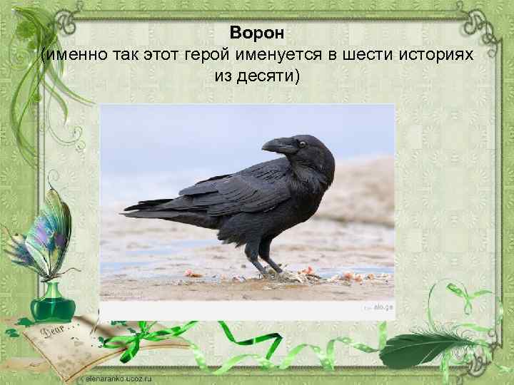 Ворон (именно так этот герой именуется в шести историях из десяти) 