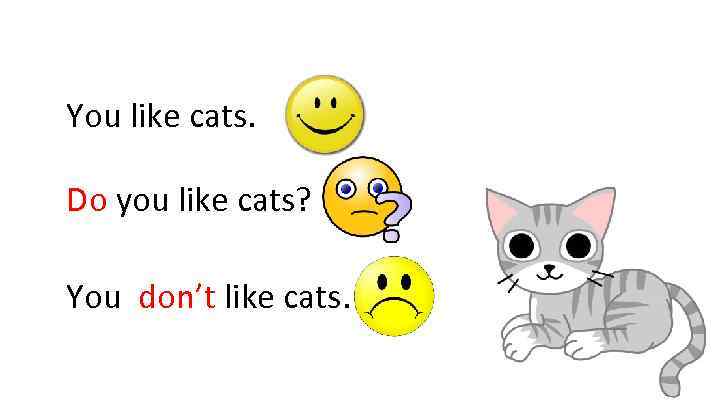 You like cats. Do you like cats? You don’t like cats. 
