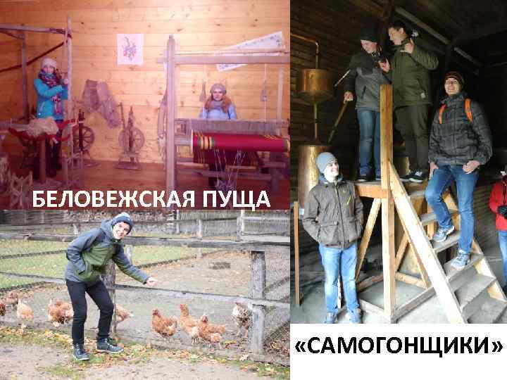 БЕЛОВЕЖСКАЯ ПУЩА «САМОГОНЩИКИ» 
