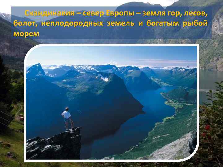 Скандинавия – север Европы – земля гор, лесов, болот, неплодородных земель и богатым рыбой