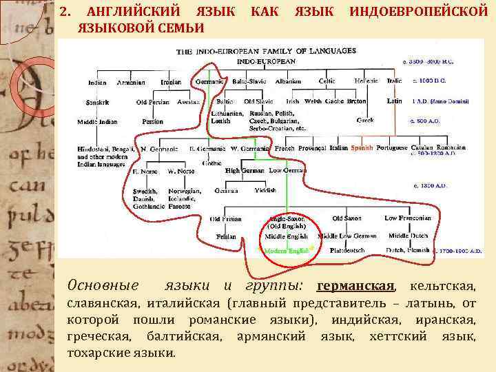 2. АНГЛИЙСКИЙ ЯЗЫКОВОЙ СЕМЬИ Основные КАК ЯЗЫК ИНДОЕВРОПЕЙСКОЙ языки и группы: германская, кельтская, славянская,