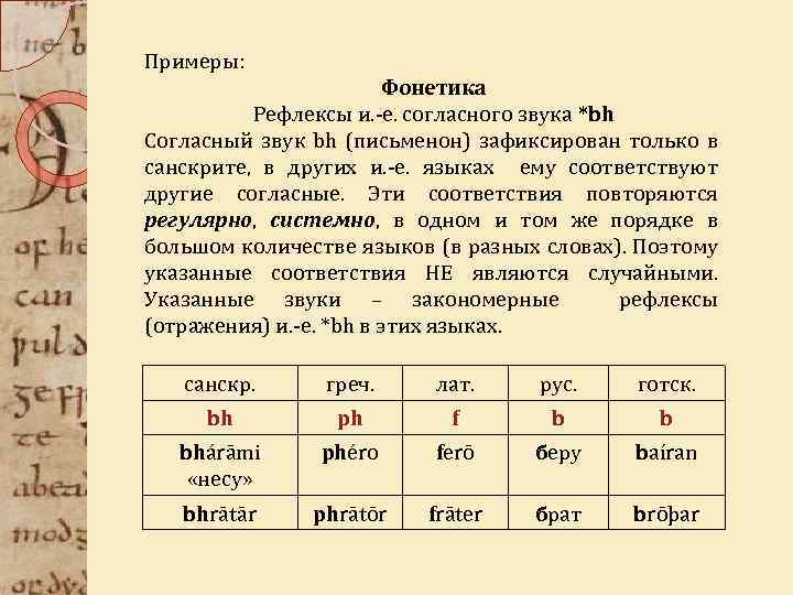 Примеры: Фонетика Рефлексы и. -е. согласного звука *bh Согласный звук bh (письменон) зафиксирован только