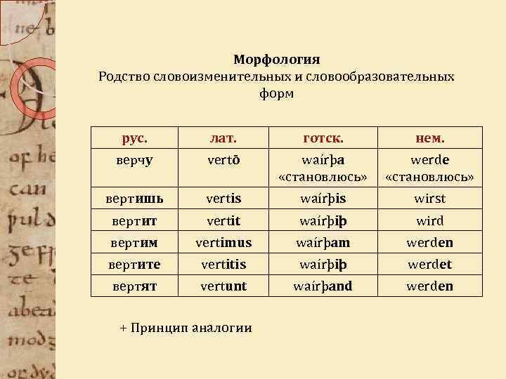 Морфология Родство словоизменительных и словообразовательных форм рус. лат. готск. нем. верчу vertō waírþa «становлюсь»