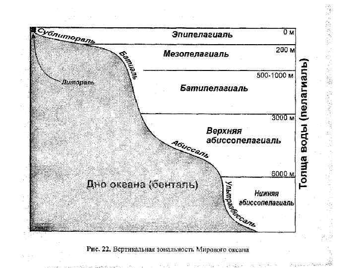 Схема глубинных зон океана 5 класс распечатать