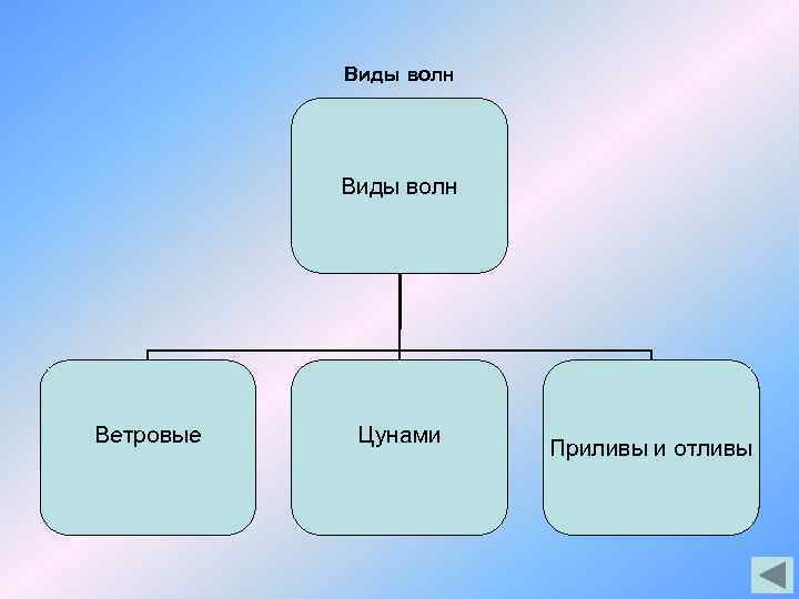 Виды волн Ветровые Цунами Приливы и отливы 