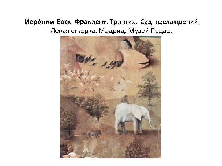  Иеро ним Босх. Фрагмент. Триптих. Сад наслаждений. Левая створка. Мадрид. Музей Прадо. 