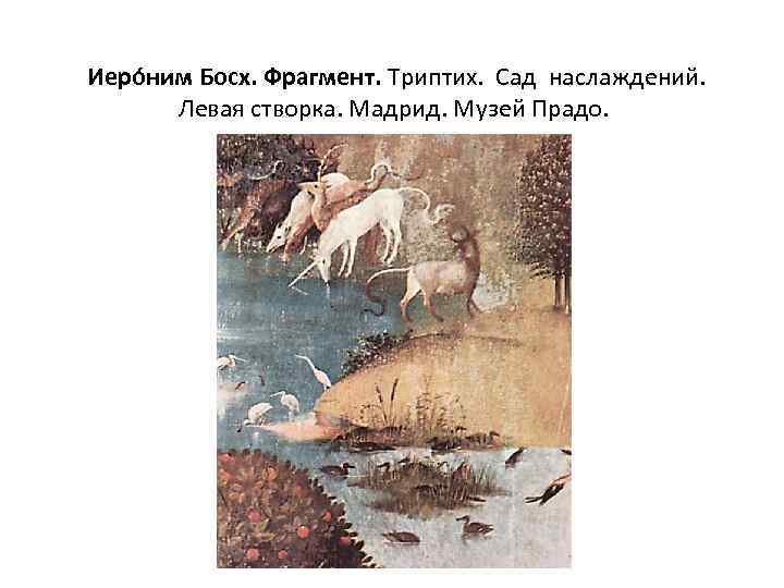  Иеро ним Босх. Фрагмент. Триптих. Сад наслаждений. Левая створка. Мадрид. Музей Прадо. 