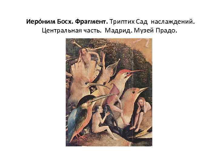  Иеро ним Босх. Фрагмент. Триптих Сад наслаждений. Центральная часть. Мадрид. Музей Прадо. 
