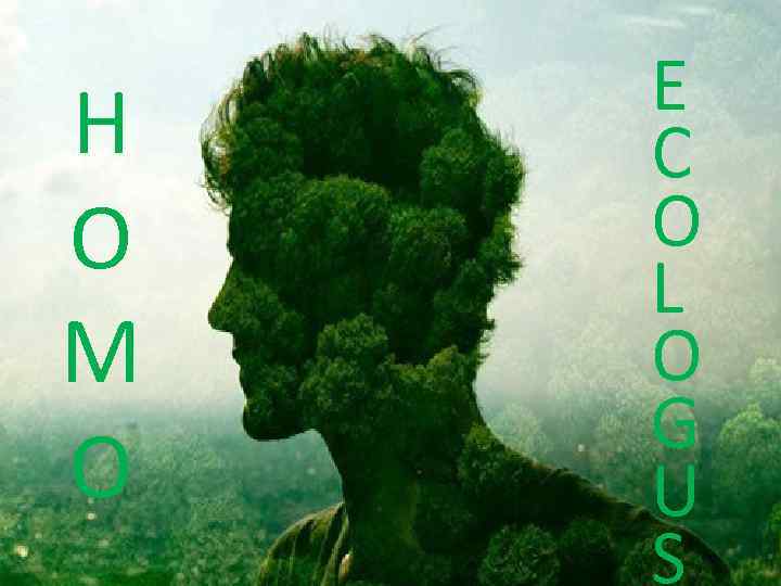H O M O E C O L O G U S 