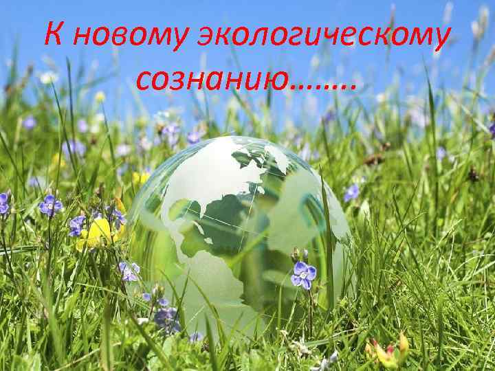 К новому экологическому сознанию……. . 