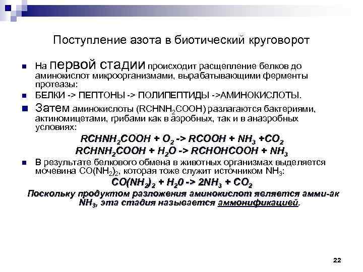 Поступление азота в биотический круговорот n На первой стадии происходит расщепление белков до аминокислот