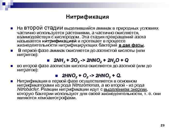 Нитрификация n n На второй стадии выделившийся аммиак в природных условиях частично используется растениями,