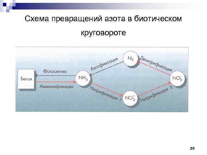 Составьте схему превращения