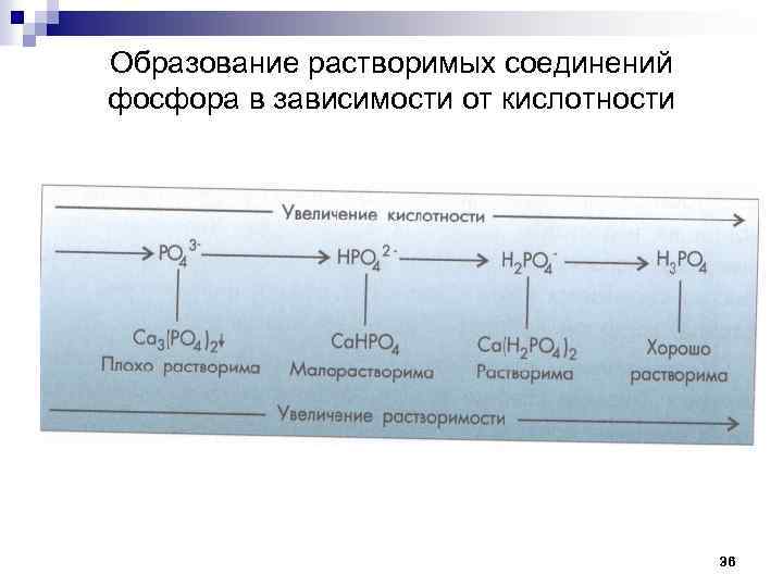 Образование растворимых соединений фосфора в зависимости от кислотности 36 