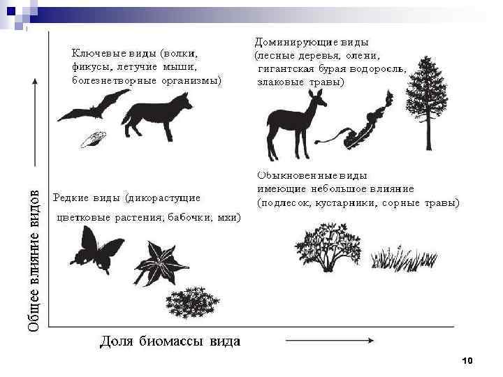 Схема значение хищников и паразитов для сохранения жизни на земле