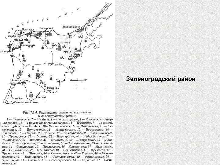 Зеленоградский район 