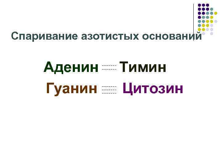 Спаривание азотистых оснований Аденин Гуанин Тимин Цитозин 