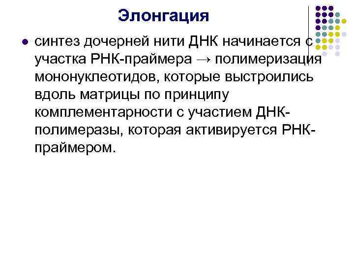 Элонгация l синтез дочерней нити ДНК начинается с участка РНК-праймера → полимеризация мононуклеотидов, которые