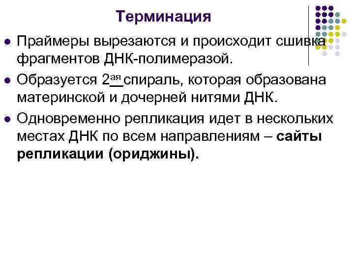 Терминация l l l Праймеры вырезаются и происходит сшивка фрагментов ДНК-полимеразой. Образуется 2 ая