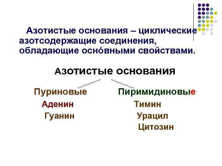 Азотистые основания – циклические азотсодержащие соединения, обладающие оснóвными свойствами. Азотистые Пуриновые Аденин Гуанин основания