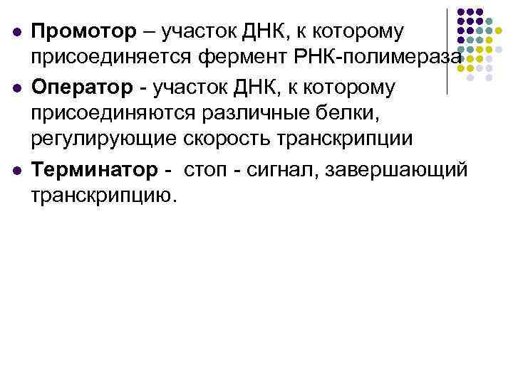 l l l Промотор – участок ДНК, к которому присоединяется фермент РНК-полимераза Оператор -