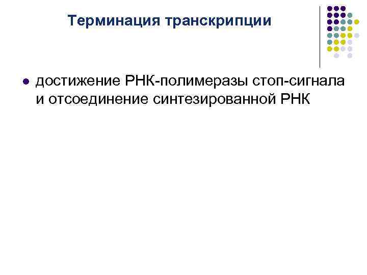 Терминация транскрипции l достижение РНК-полимеразы стоп-сигнала и отсоединение синтезированной РНК 