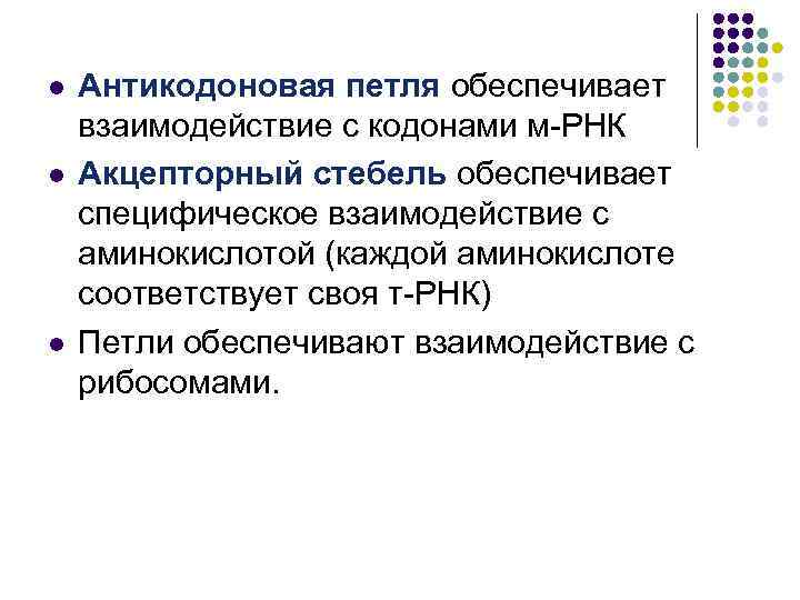 l l l Антикодоновая петля обеспечивает взаимодействие с кодонами м-РНК Акцепторный стебель обеспечивает специфическое