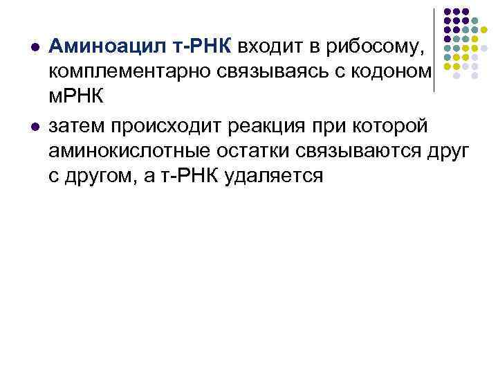 l l Аминоацил т-РНК входит в рибосому, комплементарно связываясь с кодоном м. РНК затем