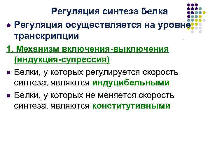 l Регуляция синтеза белка Регуляция осуществляется на уровне транскрипции 1. Механизм включения-выключения (индукция-супрессия) l