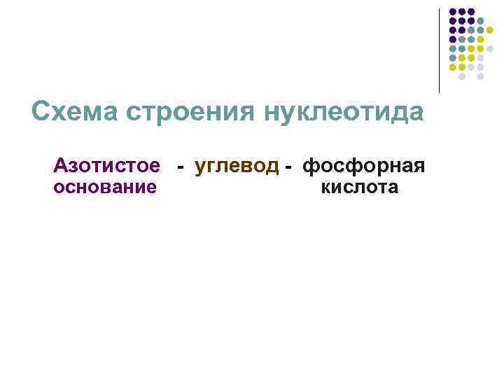 Схема строения нуклеотида Азотистое - углевод - фосфорная основание кислота 