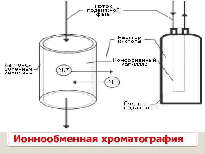 Ионообменная хроматография схема