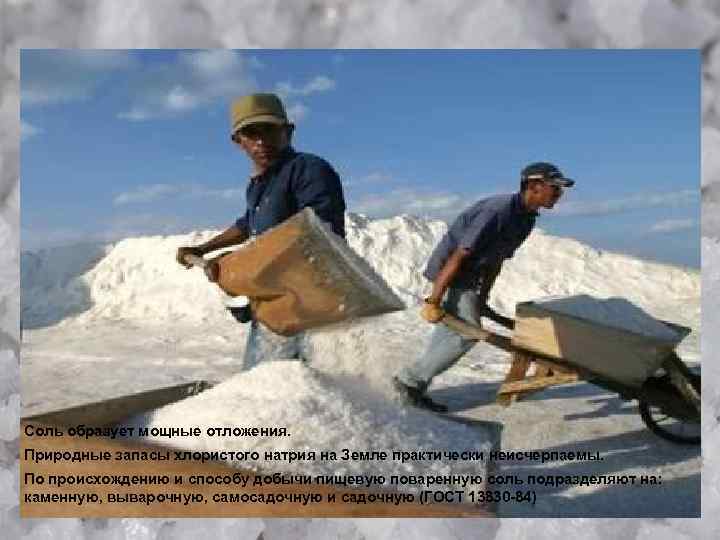 Соль образует мощные отложения. Природные запасы хлористого натрия на Земле практически неисчерпаемы. По происхождению