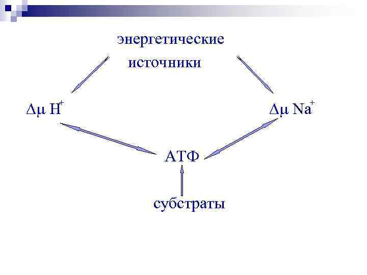 энергетические источники + + Dm Н Dm Na АТФ субстраты 