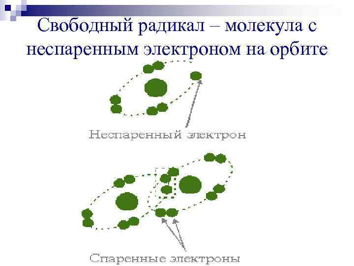 Свободный радикал – молекула с неспаренным электроном на орбите 