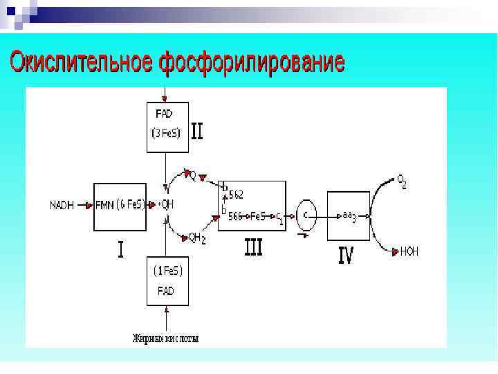 Фосфорилирование биохимия. Механизм окисление фосфорилирование. Окислительное фосфорилирование схема реакции. Окислительное фосфорилирование схема. Схема окислительного фосфорилирования АДФ.