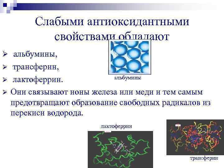 Слабыми антиоксидантными свойствами обладают Ø альбумины, Ø Ø Ø трансферин, альбумины лактоферрин. Они связывают