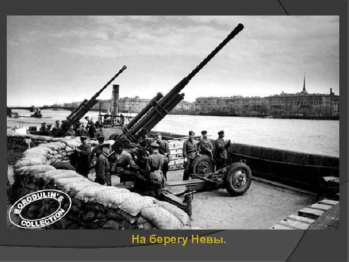 На берегу Невы. 