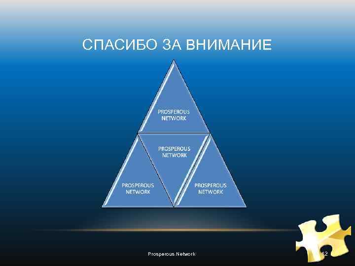 СПАСИБО ЗА ВНИМАНИЕ Prosperous Network 12 