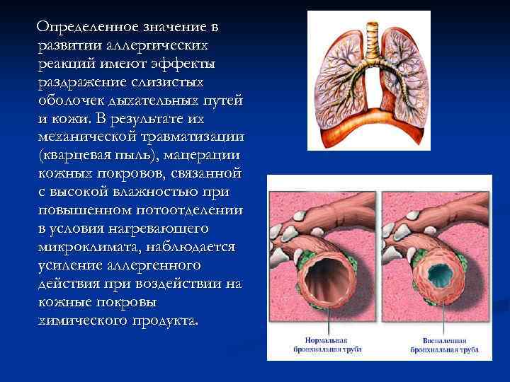 Определенное значение в развитии аллергических реакций имеют эффекты раздражение слизистых оболочек дыхательных путей и