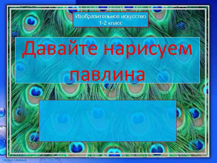 Изобразительное искусство 1 -2 класс Давайте нарисуем павлина Tatyana Latsheva 
