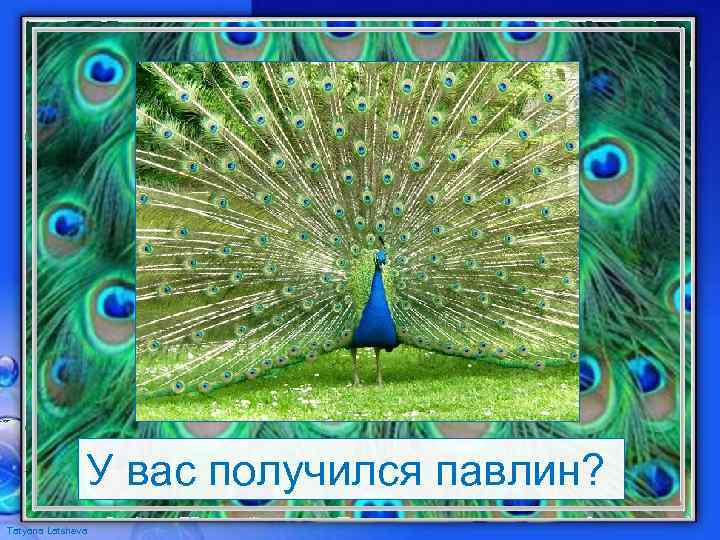 У вас получился павлин? Tatyana Latsheva 